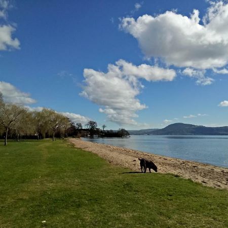 Great View Near Rotorua Lake 외부 사진