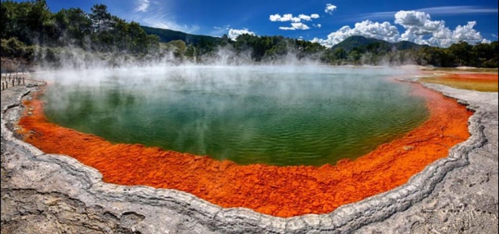 Great View Near Rotorua Lake 외부 사진